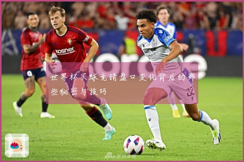 世界杯买球竞猜盘口变化背后的那些秘密与技巧