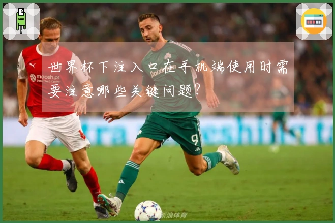 世界杯下注入口在手机端使用时需要注意哪些关键问题？