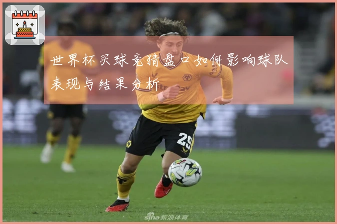 世界杯买球竞猜盘口如何影响球队表现与结果分析