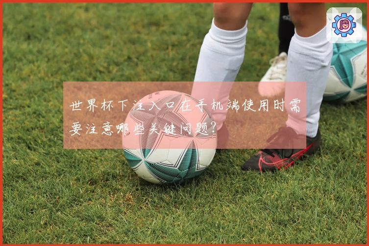 世界杯下注入口在手机端使用时需要注意哪些关键问题？