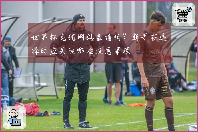 世界杯竞猜网站靠谱吗？新手在选择时应关注哪些注意事项